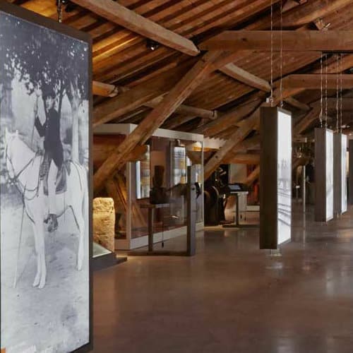 museecamargue